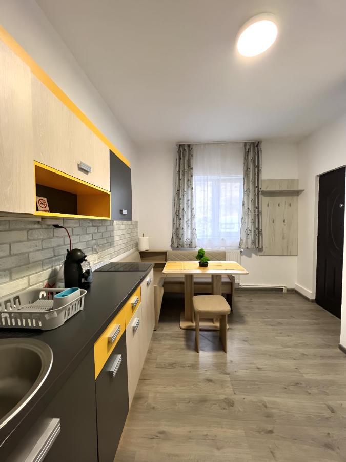Salt Mine Retreat - Free Parking Apartment Turda Exterior foto